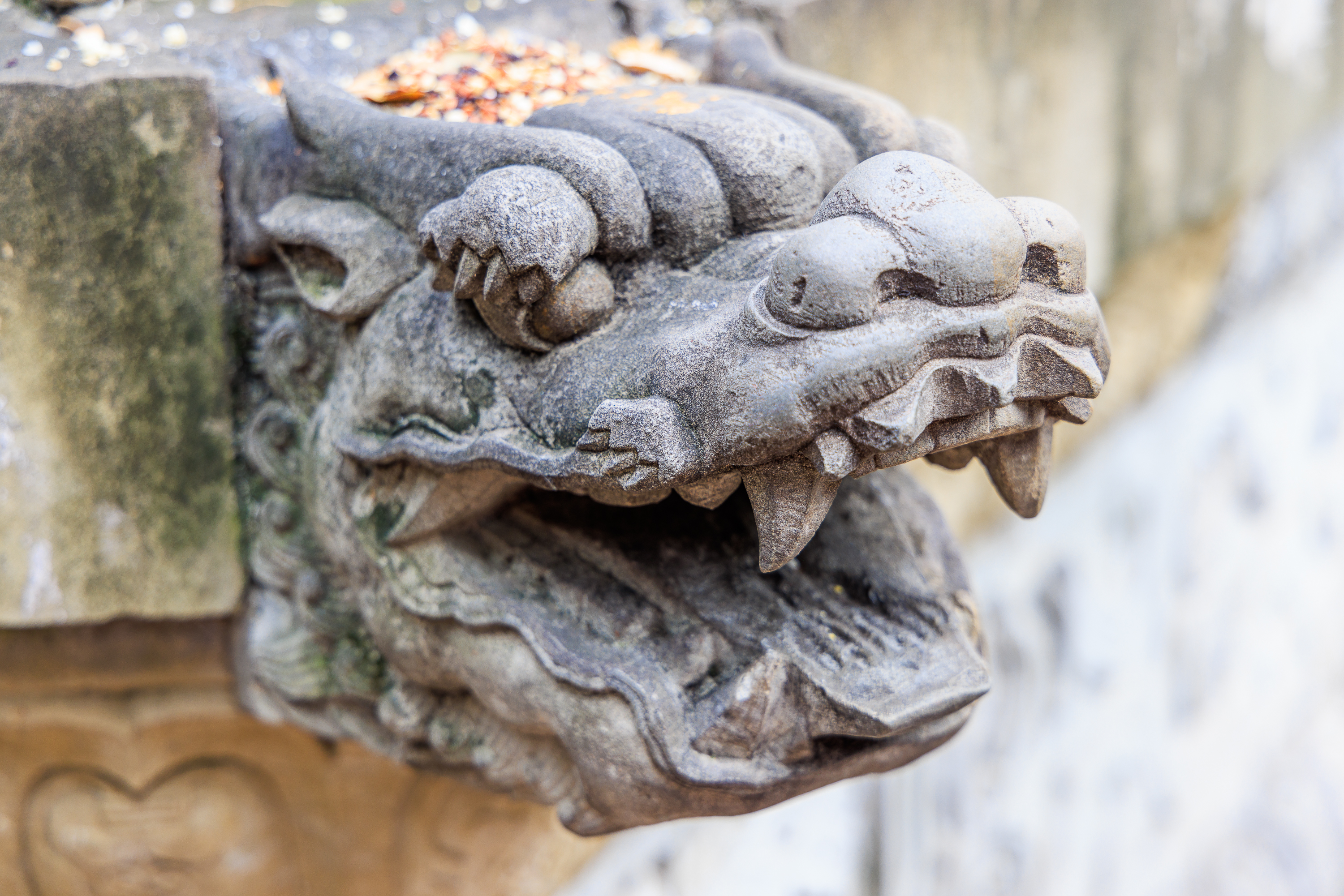 Drache